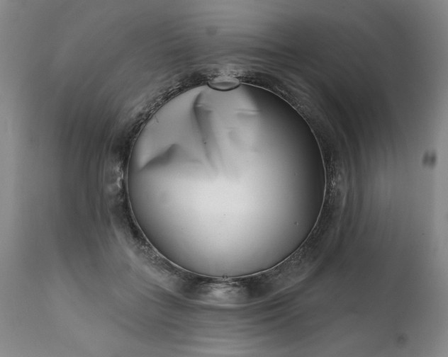 X0000113200555200909241401