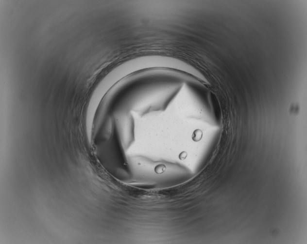 X0000113200556200909241401