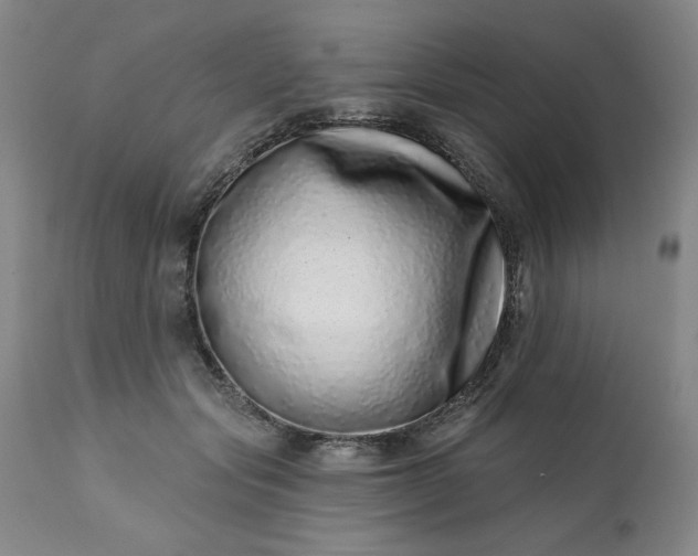 X0000113200557200909241401