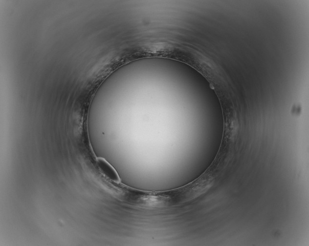 X0000113200558200909241401