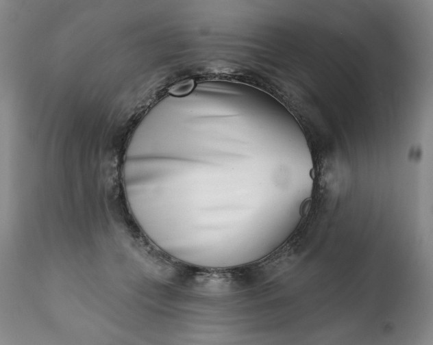 X0000113200559200909241401