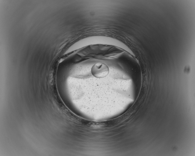 X0000113200560200909241401