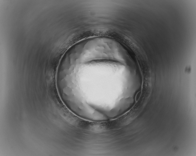 X0000113200561200909241401