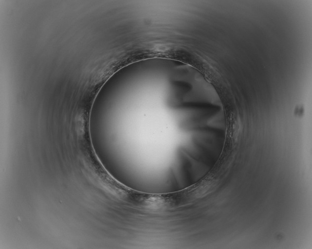 X0000113200562200909241401