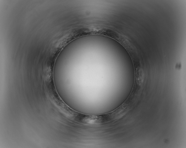 X0000113200563200909241401