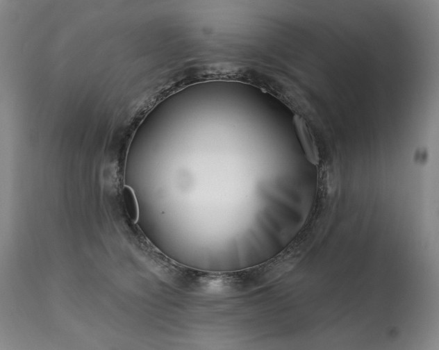 X0000113200564200909241401