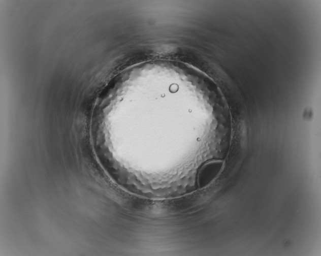 X0000113200565200909241401