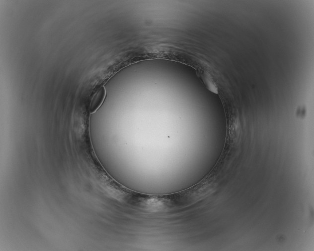 X0000113200566200909241401