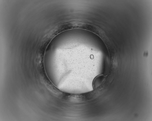 X0000113200567200909241401