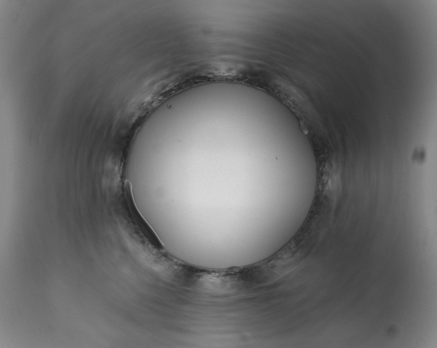 X0000113200568200909241401