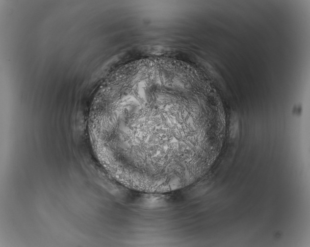 X0000113200569200909241401