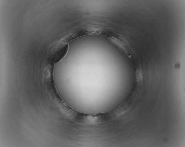 X0000113200570200909241401