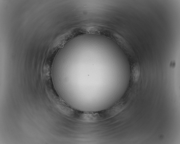 X0000113200571200909241401