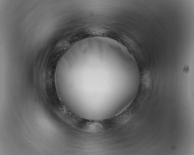 X0000113200572200909241401