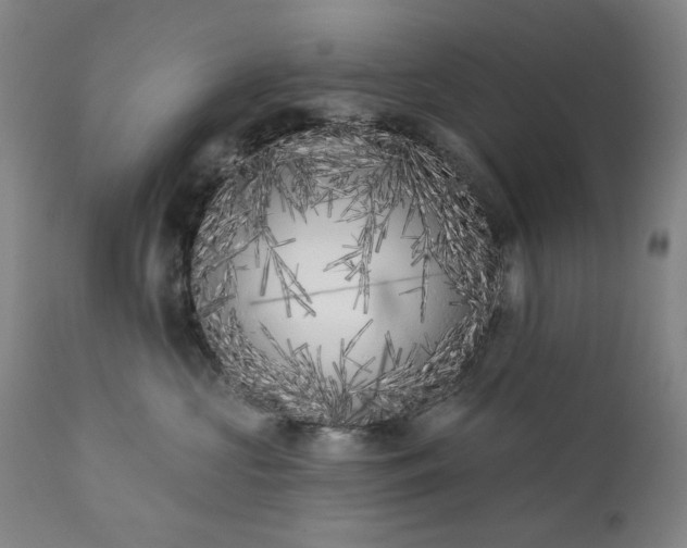 X0000113200573200909241401