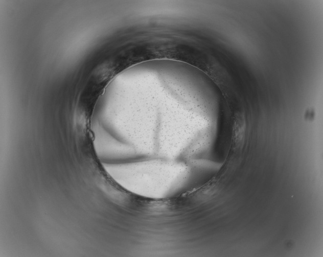 X0000113200574200909241401