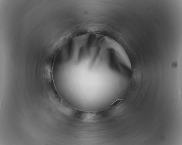 X0000113200575200909241401