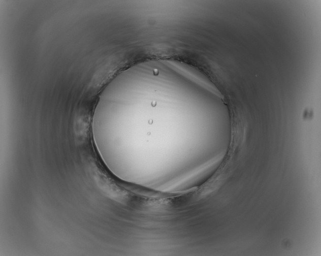 X0000113200576200909241402