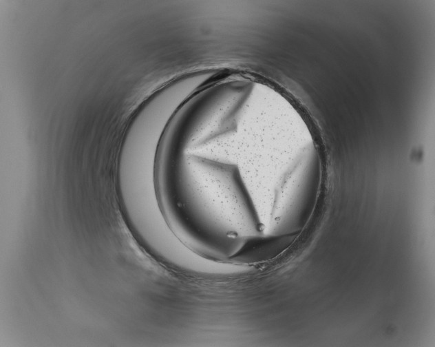 X0000113200577200909241401