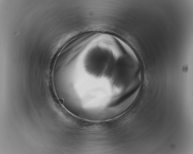 X0000113200578200909241401