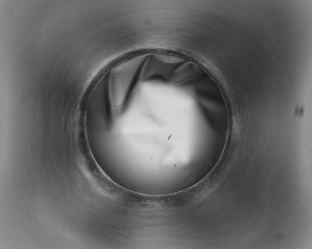 X0000113200580200909241401