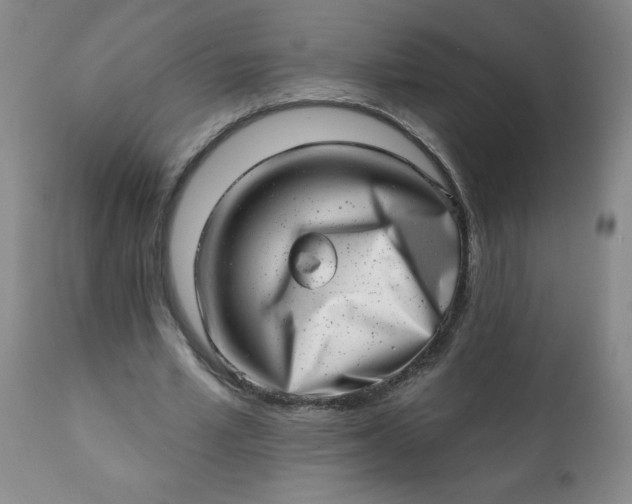 X0000113200581200909241401