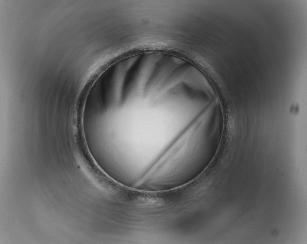 X0000113200582200909241401