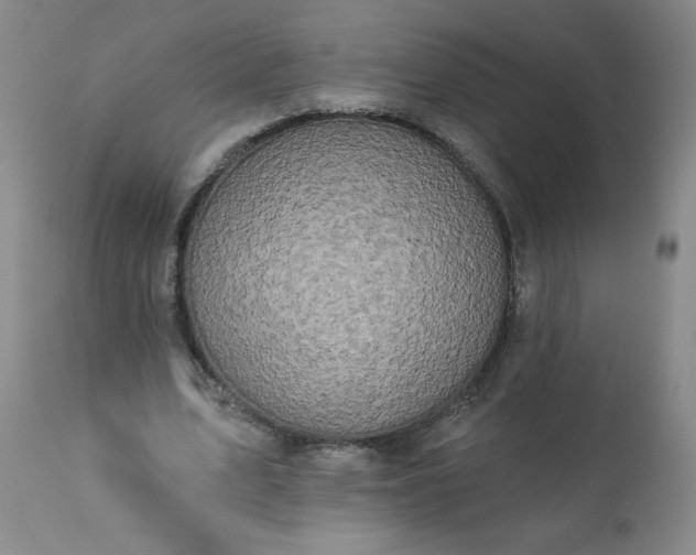 X0000113200583200909241401