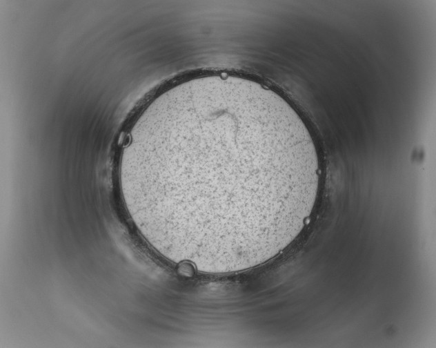 X0000113200584200909241401