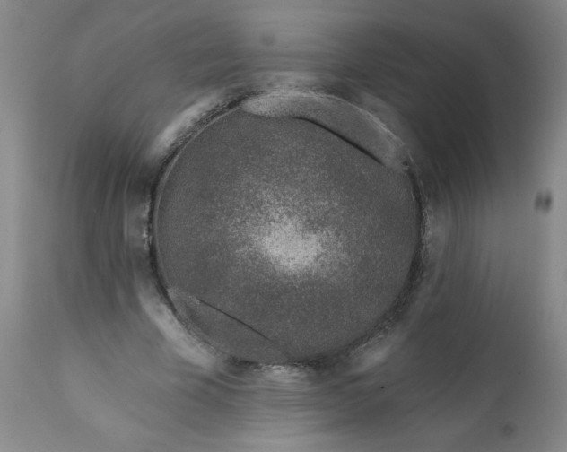 X0000113200585200909241401