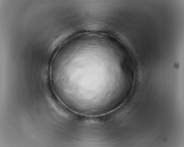 X0000113200586200909241401