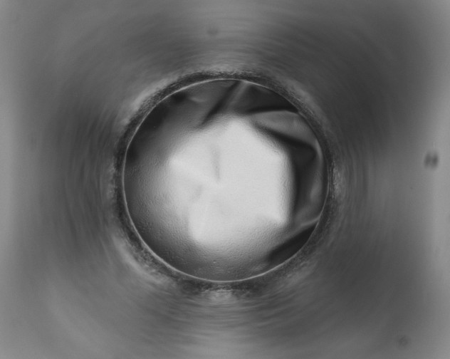 X0000113200588200909241400