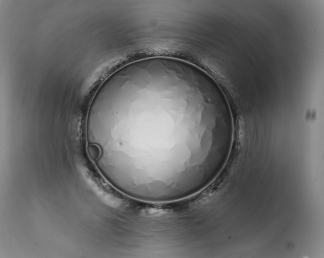 X0000113200590200909241400