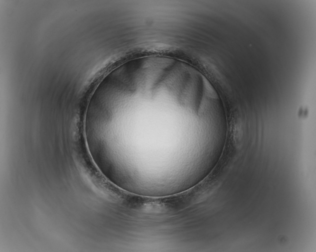 X0000113200591200909241400