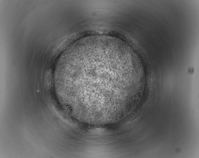 X0000113200594200909241400