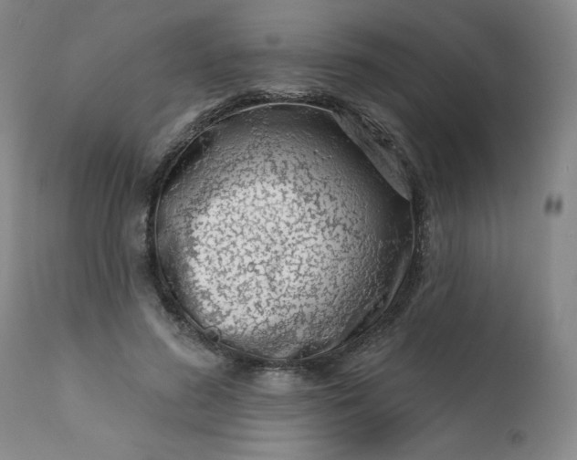 X0000113200596200909241400