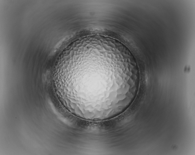 X0000113200598200909241400