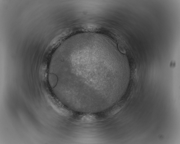 X0000113200599200909241400