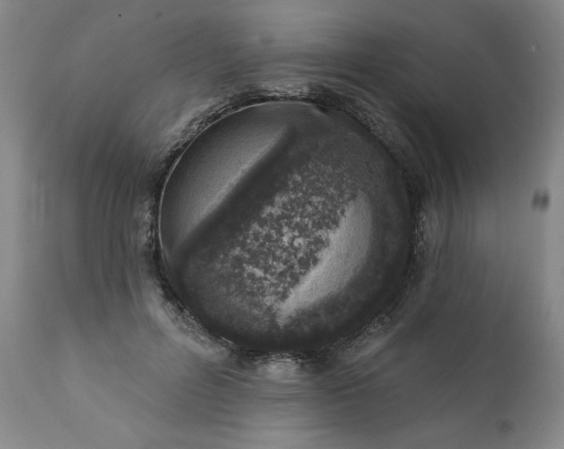 X0000113200600200909241400