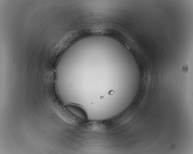 X0000113200601200909241400