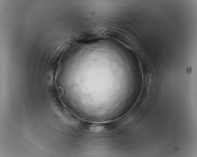 X0000113200602200909241400