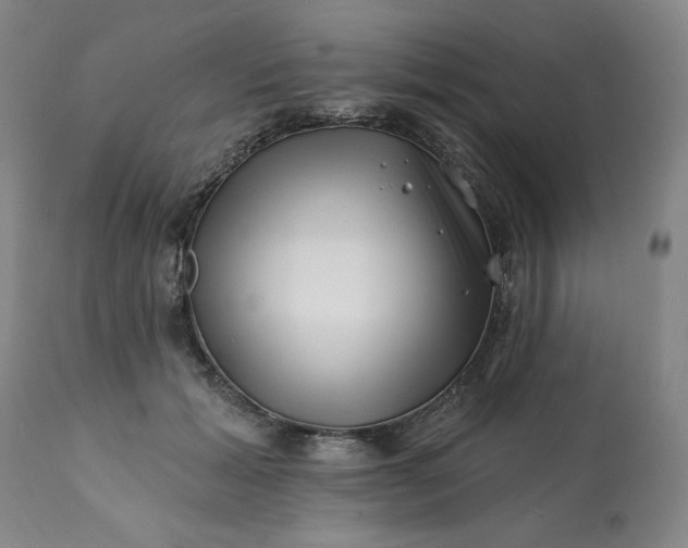 X0000113200605200909241400