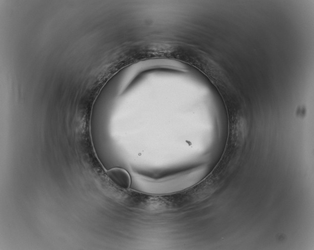 X0000113200608200909241400