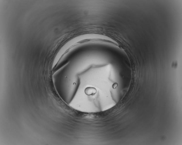 X0000113200611200909241400