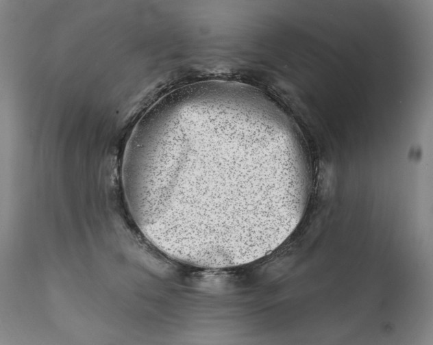 X0000113200612200909241400