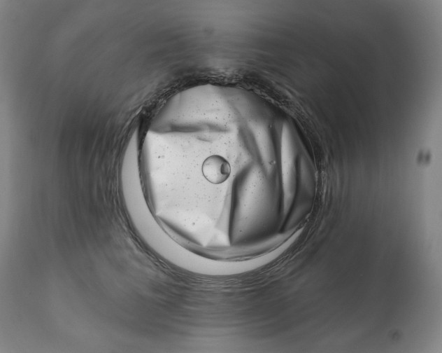 X0000113200613200909241400