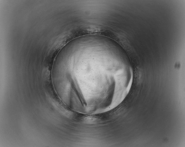 X0000113200614200909241400