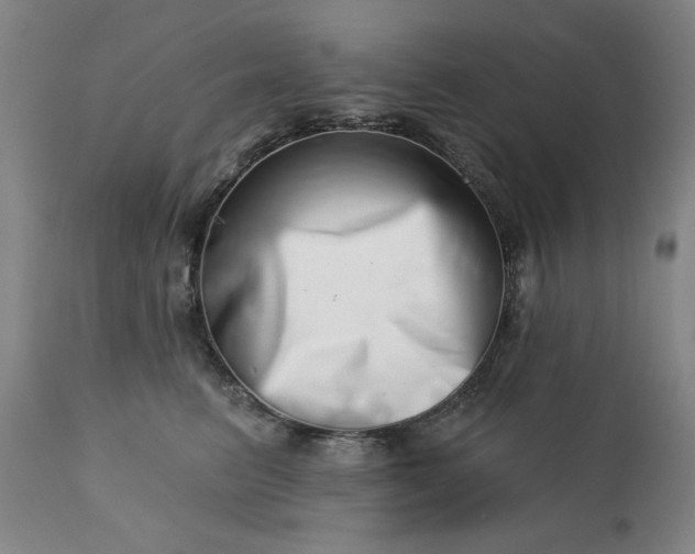 X0000113200615200909241400