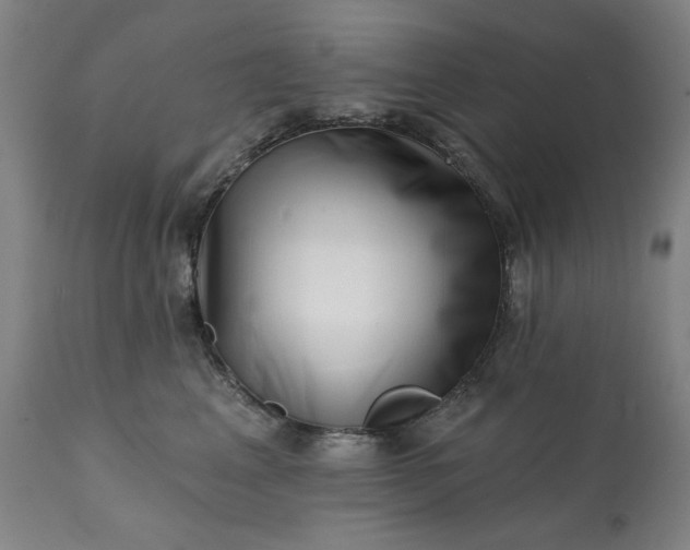 X0000113200617200909241400