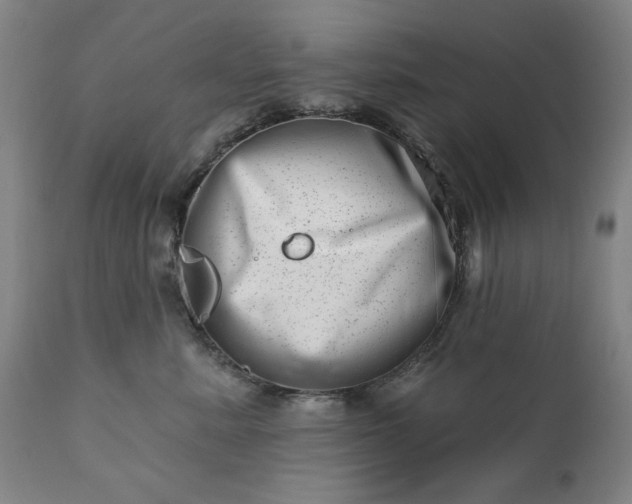 X0000113200619200909241400